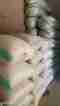 whatsapp-image-2026-09-30-at-11.34.37-pm-2